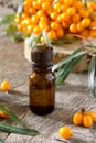 Seabuckthorn berries branch of sea buckthorn and oil on a vintage wooden background