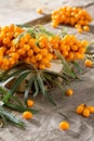 Seabuckthorn berries branch on vintage wooden background. Autumn background