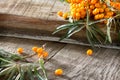 Seabuckthorn berries branch on vintage wooden background. Space for your text