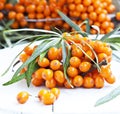 Seabuckthorn Berries