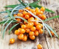 Seabuckthorn Berries