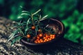 Seabuckthorn berries Royalty Free Stock Photo