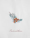 Seabuckthorn branch watercolor drawing illustration