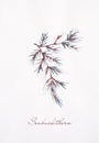 Seabuckthorn branch watercolor drawing illustration