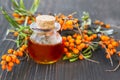 Seabuckthorn oil Royalty Free Stock Photo