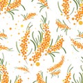 Seabuckthorn seamless pattern. Abstract floral background.