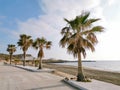 Seacoast with palm trees in soft morning sunlight. Travel destination Zakynthos island Greece. Scenic landscape natural