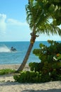 Seadoo waverunner with palm tree Royalty Free Stock Photo