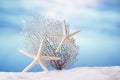 Seafan and starfish on sand  with tropical ocean Royalty Free Stock Photo