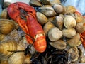 Seafood display