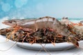 Seafood background. Closeup of fresh raw big prawn tiger or shrimps on a plate in front of blurred abstract tropical beach with Royalty Free Stock Photo