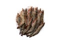 Seafood background. Closeup of raw tiger shrimps on a plate isolated on a white background. Top view Royalty Free Stock Photo