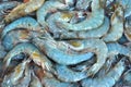 Sale of marine shrimp. seafood on the counter