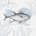 Seafood banner with hand drawn tuna fish and seaweed. Sketch style marine designs template. Royalty Free Stock Photo