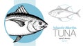 Seafood banner with hand drawn tuna fish. Sketch style marine designs template. Best for restaurant menu, seafood market designs. Royalty Free Stock Photo