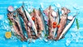 Seafood banner. Raw Saury fish and squid. Royalty Free Stock Photo