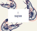 Seafood banner set. Hand drawn shrimp. Vector restaurant menu. Marine food banner, flyer design. Engraved isolated art