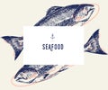 Seafood banner set. Hand drawn tuna fish. Vector restaurant menu. Marine food banner, flyer design. Engraved isolated