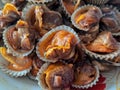 Seafood, boiled scallops that are peeled and stacked together