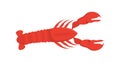 Seafood cancer vector concept