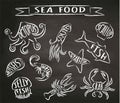 Seafood chalk contour vector illustrations on blackboard, elements for restaurant menu design, decor, label.