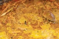 Seafood chowder,slowly simmering,in a large pan,Edinburgh,Scotland