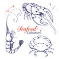 Seafood collection. hand drawn engraved seafood element in vintage style with ink splatter isolated on white. realistic outline Royalty Free Stock Photo