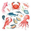 Seafood collection set Royalty Free Stock Photo
