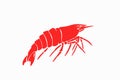 Seafood color element, red shrimp isolated on white, graphical vector illustration Royalty Free Stock Photo