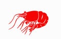 Seafood color element, red shrimp isolated on white, graphical vector illustration Royalty Free Stock Photo