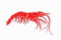 Seafood color element, red shrimp isolated on white, graphical vector illustration Royalty Free Stock Photo