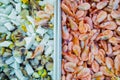 Seafood. in a container frozen shrimp Royalty Free Stock Photo