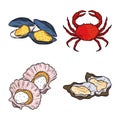 Seafood crab clams mussels oysters menu gourmet fresh icon isolated image