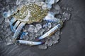 Seafood crab on ice Royalty Free Stock Photo