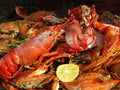 Seafood Crabs, lobster, shellfish, shrimps with lemon on grill