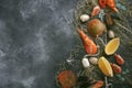 Seafood on a dark background, Shrimps, mussels, mussels on black stone, Copy space
