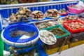 Seafood display with a blue bowl of oysters Royalty Free Stock Photo