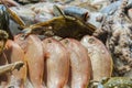 Seafood on display. counter with seafood, shrimp and crawfish with fish. Different varieties of fish and seafood at the fish