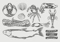Seafood drawing set vector illustration. Hand drawn sketch vintage of Hand drawn line sea fishes, oysters, mussels, lobster, squid Royalty Free Stock Photo