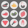 Seafood and Fast Food Vector Snacks Royalty Free Stock Photo