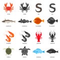 Seafood and fish icons set with two types of vector illustrations