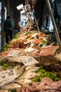 Seafood at the fish market in Venice, Italy. Royalty Free Stock Photo