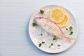 Seafood fish plate ocean gourmet fresh fish on ice lemon parsley on white plate table Royalty Free Stock Photo