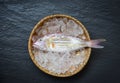 Seafood fish plate ocean gourmet fresh raw fish on ice basket on the stone Royalty Free Stock Photo