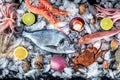 Seafood. Fresh fish and sea food on ice, overhead flat lay. An assortment