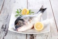 Seafood. Fresh fish on white plate. Royalty Free Stock Photo