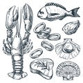 Seafood and fresh raw fish set. Hand drawn vector sketch illustration. Sea food restaurant or market design elements Royalty Free Stock Photo