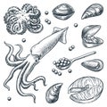 Seafood and fresh raw fish set. Hand drawn vector sketch illustration. Sea food restaurant or market design elements
