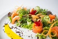 Seafood fresh salad with shrimps, mussels, salmon, green and cucumber Royalty Free Stock Photo