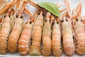 Seafood Royalty Free Stock Photo